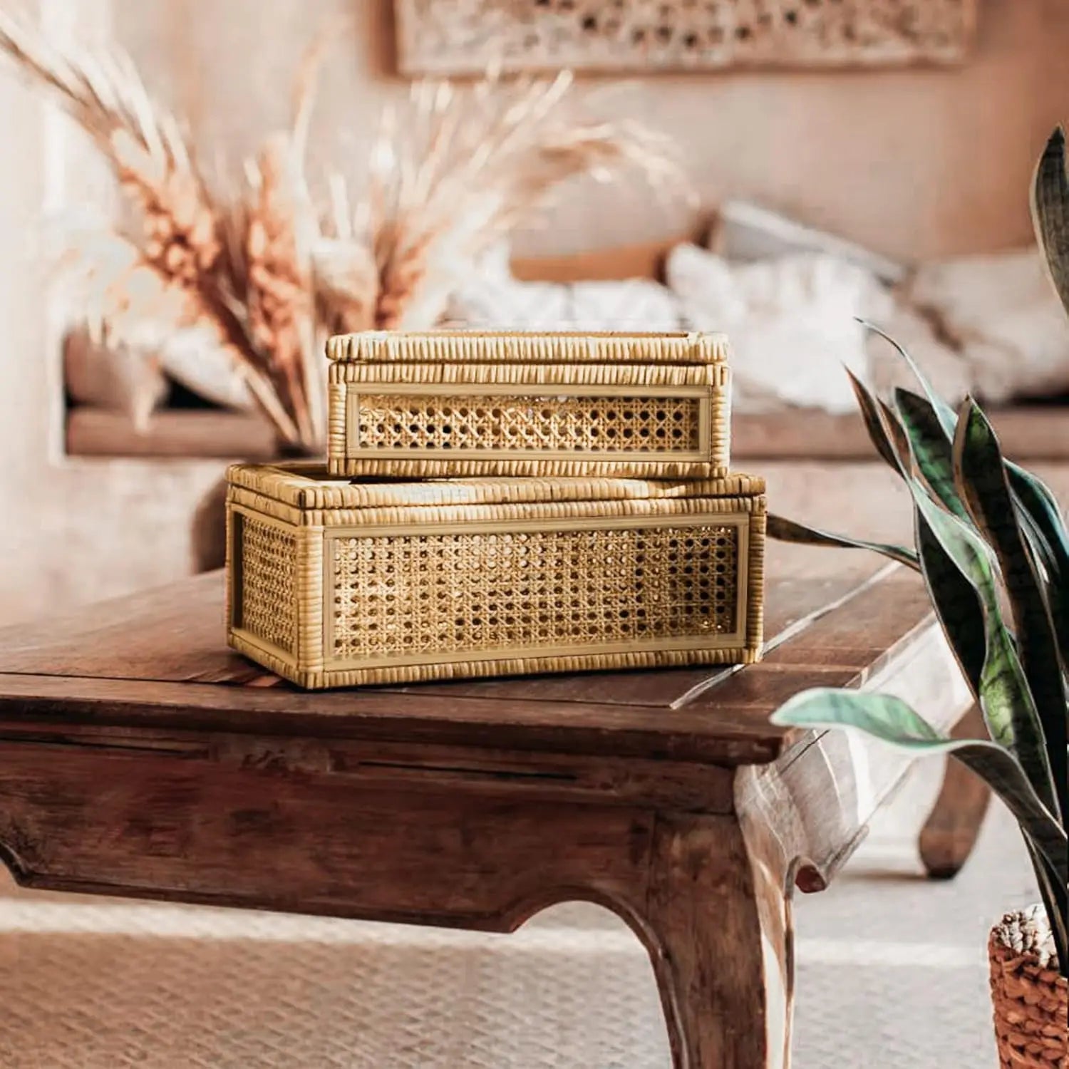 Handwoven Rattan Display Boxes with Glass Lids
